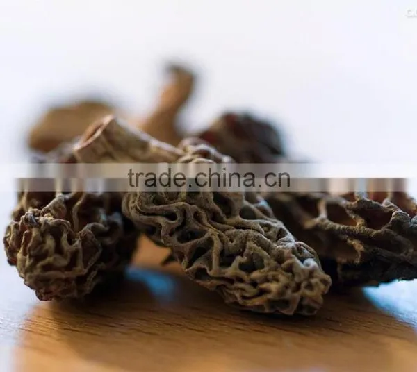 Organic Morels Conica Mushroom Dried Morel photo-4