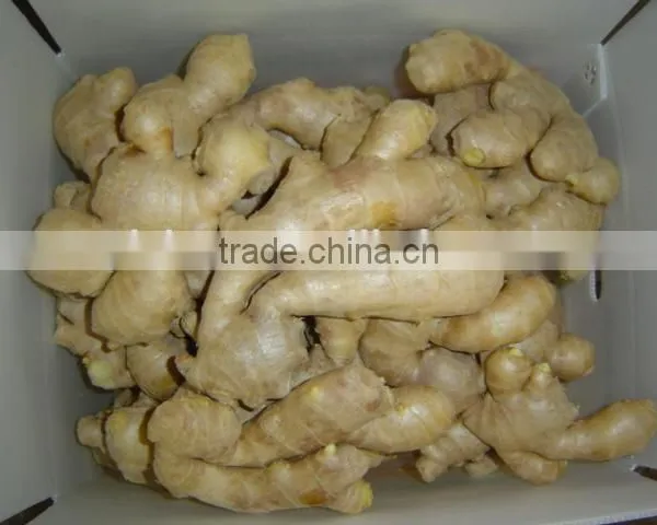Fresh Air Dried Ginger photo-4