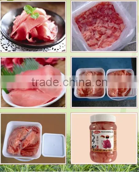 Hot Sale Sweet and Vinger Sushi Ginger,pickled Ginger in Carton/barrel/bottle