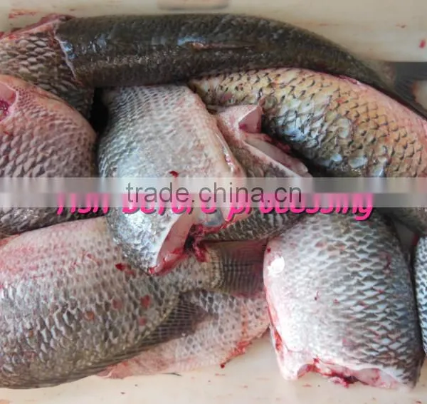 FGB-180 Automatic Fish Tilapia Skin Peeling Machine and Fish Fillet Machine With 304 Stainless Steel photo-5