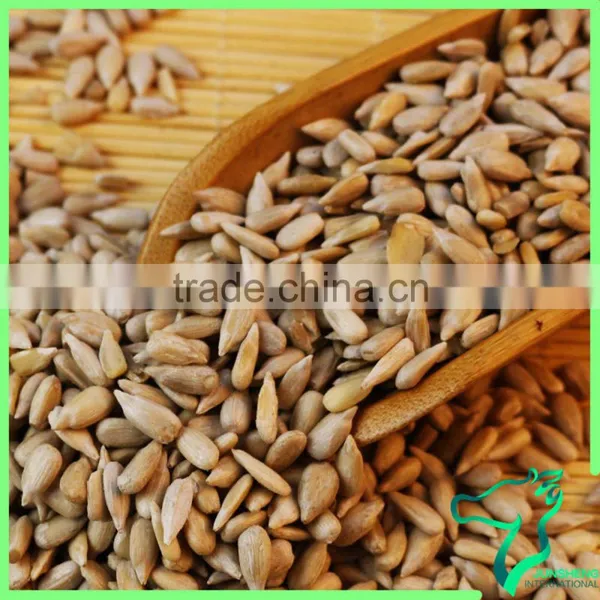 Blanched Sunflower Seeds Sunflower Kernels