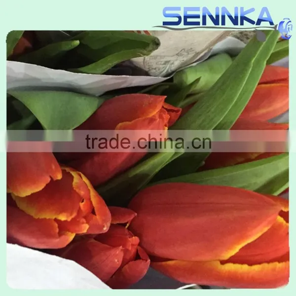 Quality Fresh Cut Flower in China /design Roses/jasmine/decorative Natural Flowers