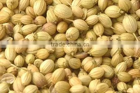 Coriander Seeds