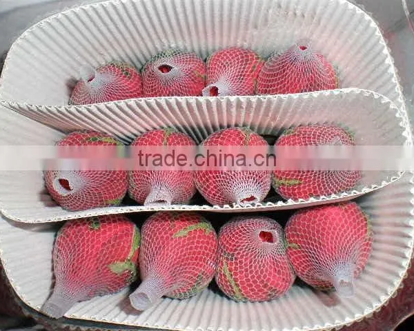 Export Rose Fresh Cut Flowers From Yunnan of China photo-6