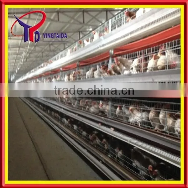 High Quality Design Layer Chicken Cages for Kenya Poultry Farm ( Full Poultry Equipment) photo-3