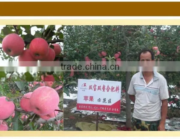 70% Granule Organic Fertilizer Plant Source photo-6