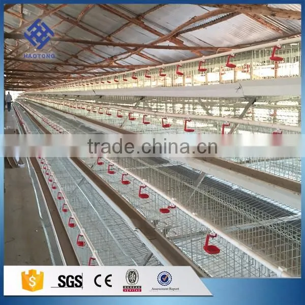 30 Years' factory supply automatic egg collection system/automatic chicken nest