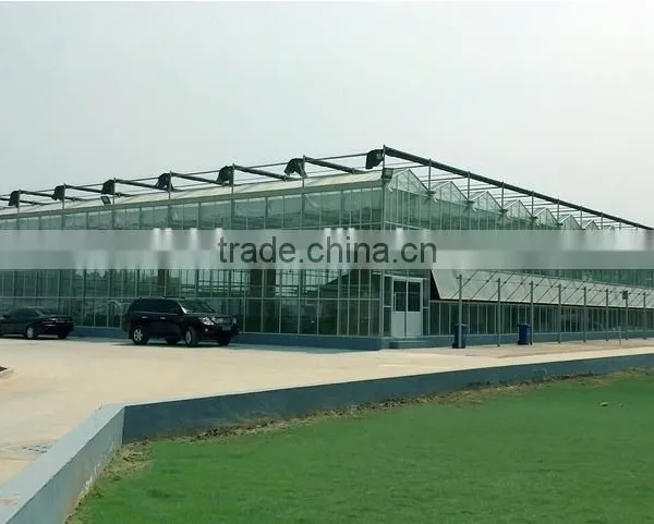 Large Plastic Film Multi-span Greenhouse Poly Covering Greenhouse photo-2