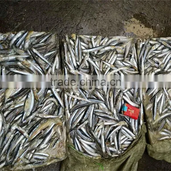Frozen Block Anchovy photo-6