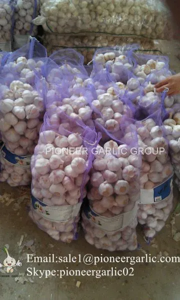 5.5cm And Up Red Garlic Loose Packing In 20kg Mesh Bag
