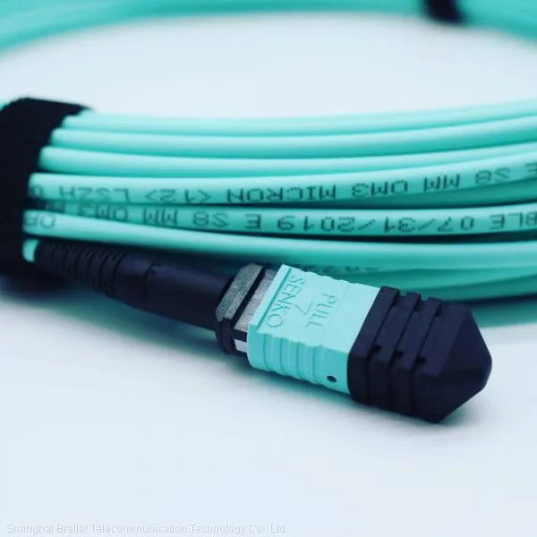 MPO/MTP Trunk Optical Patch Cord Brellet photo-3