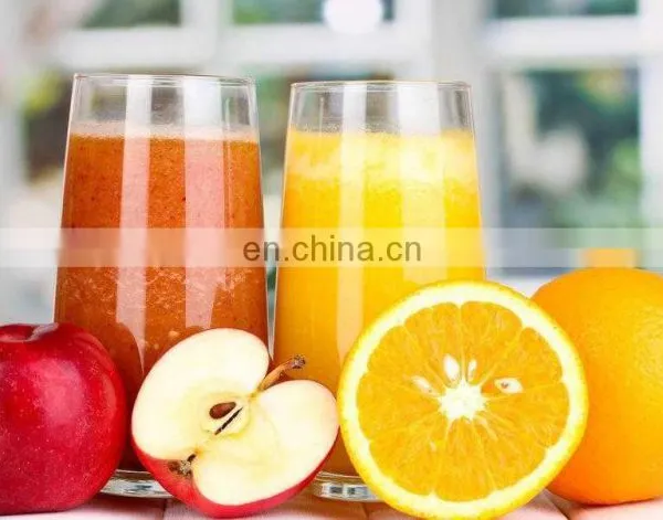 Belt Type Juicing Machine / Juicer Extractor Machine photo-4