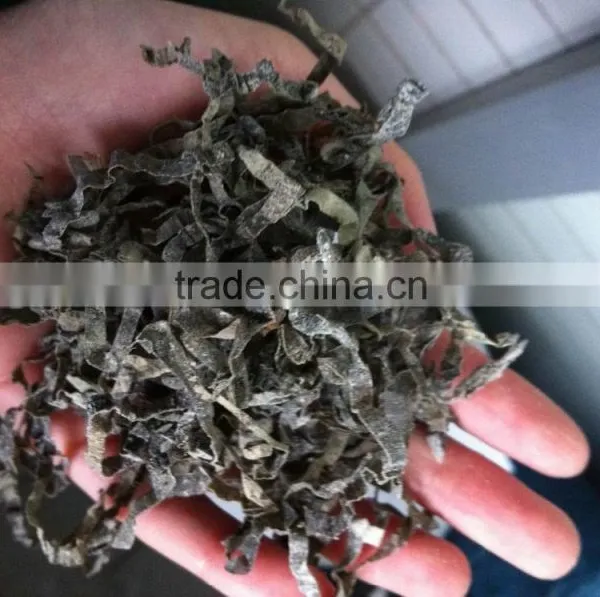 Dried Kelp Cut Shredded Laminaria Seaweed Seafood