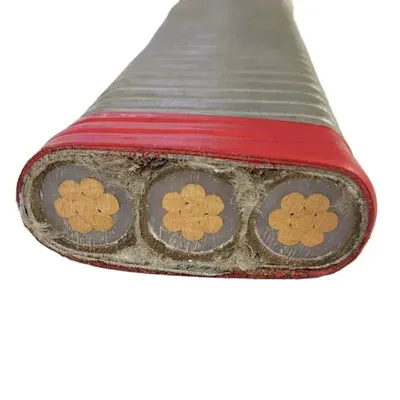 Iecex and EAC Certified ESP Heavy-Duty Pump Electric Submersile Power Cable With Excellent Oil Resistance Properties photo-2