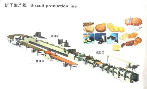 Small Hard Soft Biscuit Packing Line Making Machine Stainless Steel Production Line photo-6