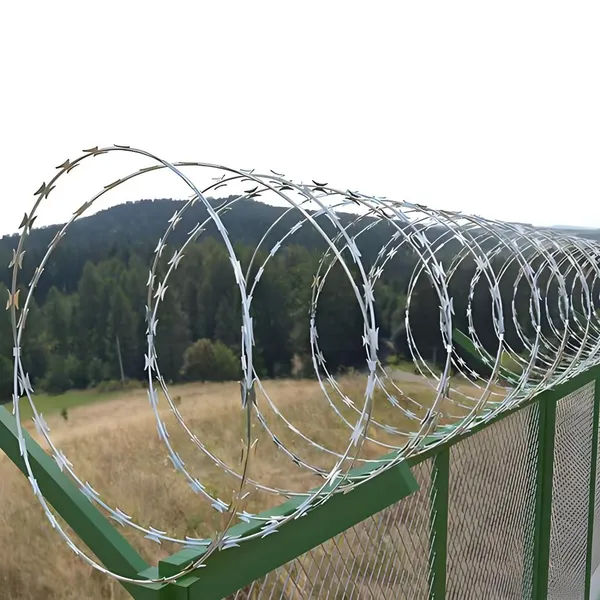 Wholesale PVC-Coated Bto-22 Concertina Razor Barbed Wire 450mm for Farm Fence Protection photo-4