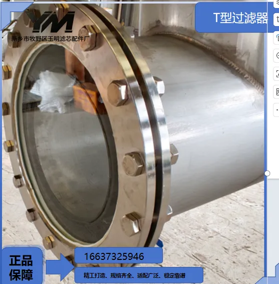 T-type Strainer photo-4