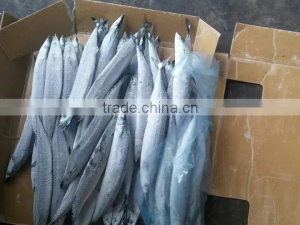 FROZEN PACIFIC SAURY WHOLE ROUND photo-3