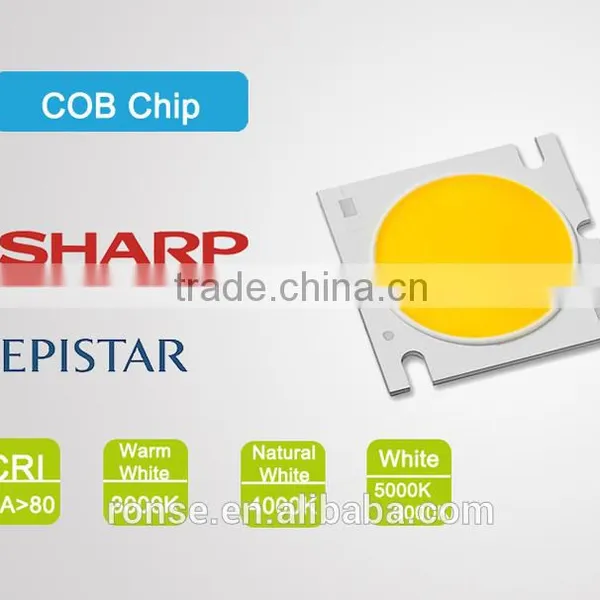 Ronse High Brightness Led Ceiling Light Fixture for Living Room(RS-2041(A)) photo-2