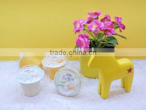 100g Assorted Fruity Lactobacillus Fruit Cup Jelly