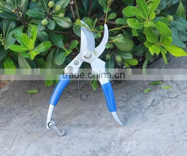 Stainless Steel Garden Pruning Scissor Bonsai Scissors photo-6