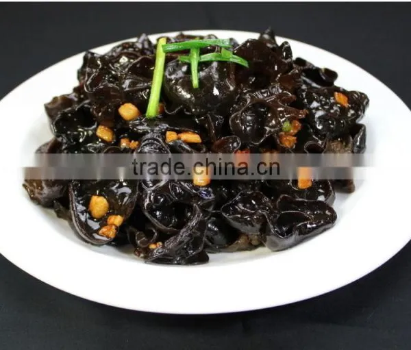 Perfect Black Fungus Mushrooms photo-6