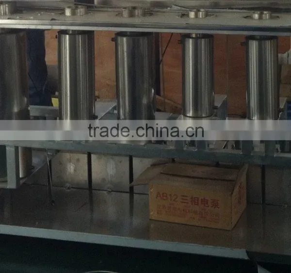 Hot Sale Supercritical Co2 Liquid Extraction Machine photo-5