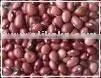 Saulta Beans(Red)