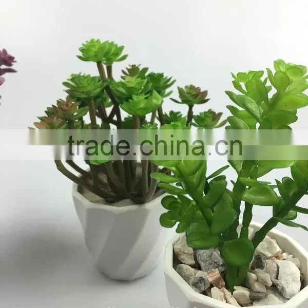 Factory Direct Handmade Decoration Artificial Succulents Potted Plant photo-2