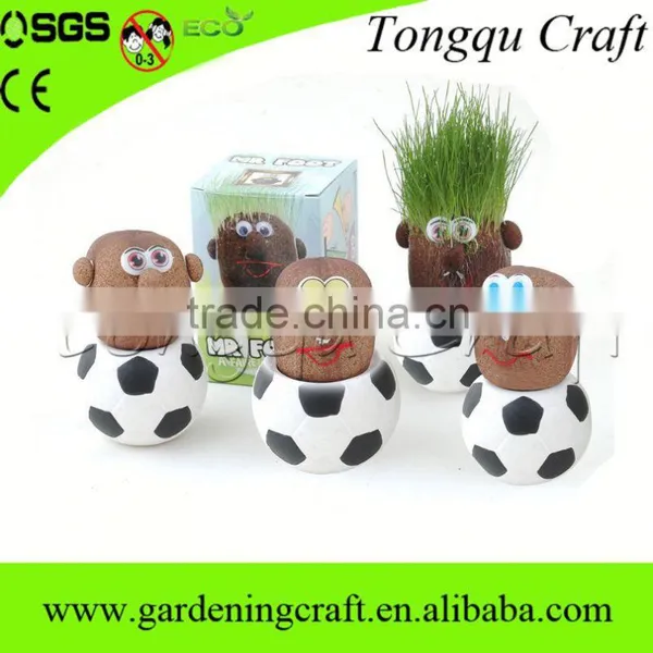 Interior Decoration Metal Plant Pots Plants for Terracotta Flower photo-5