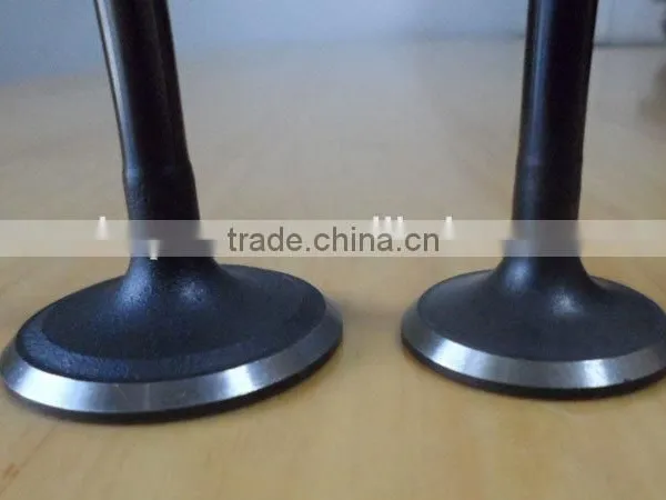 056109601A & 056109611A Engine Valve for Passat photo-4