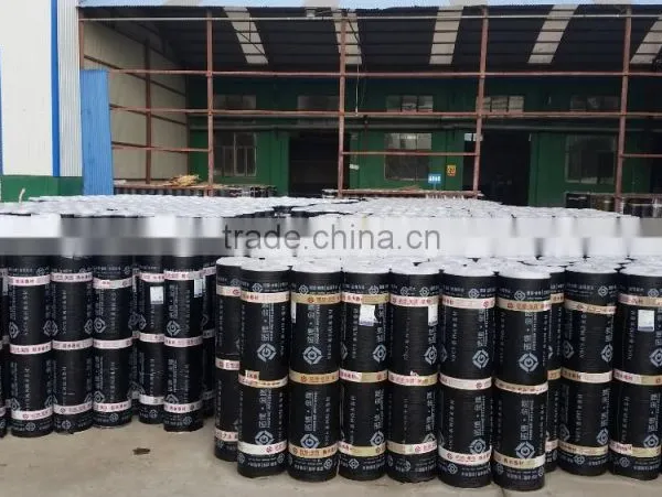 High Quality SBS Modified Bitumen Waterproof Membrane photo-5