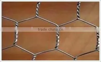Hexagonal Wire Netting photo-3