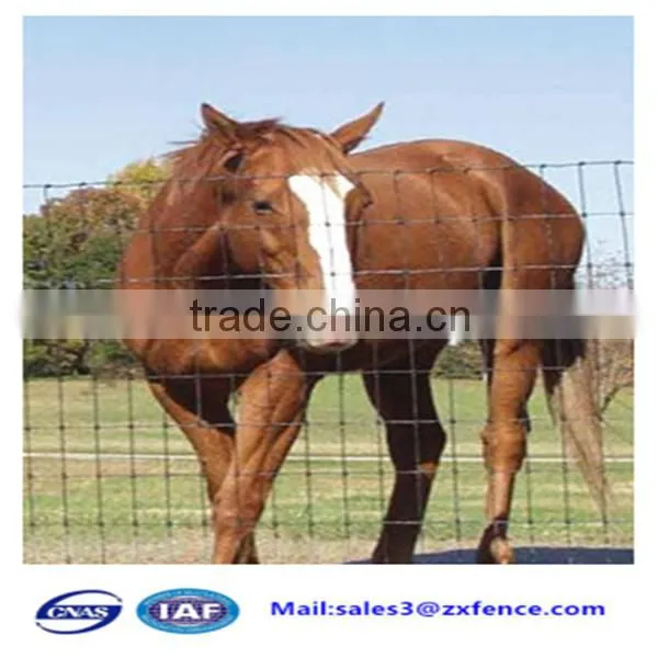 Factory Direct Cheap Heavy Duty Sheep Fence,horse Fence,cattle Fence photo-5