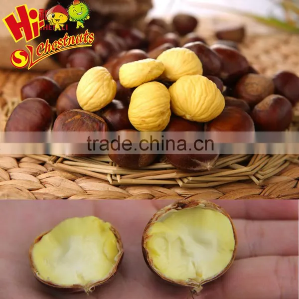 Wholesale Healthy Snacks Packaged Chinese Chestnuts photo-6