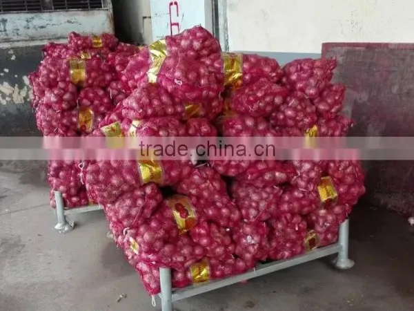 Fresh Yellow/Red Onion Supplier/Producer/Farmer photo-6