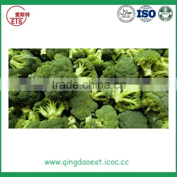 Bulk Chinese Cleaning Broccoli photo-5