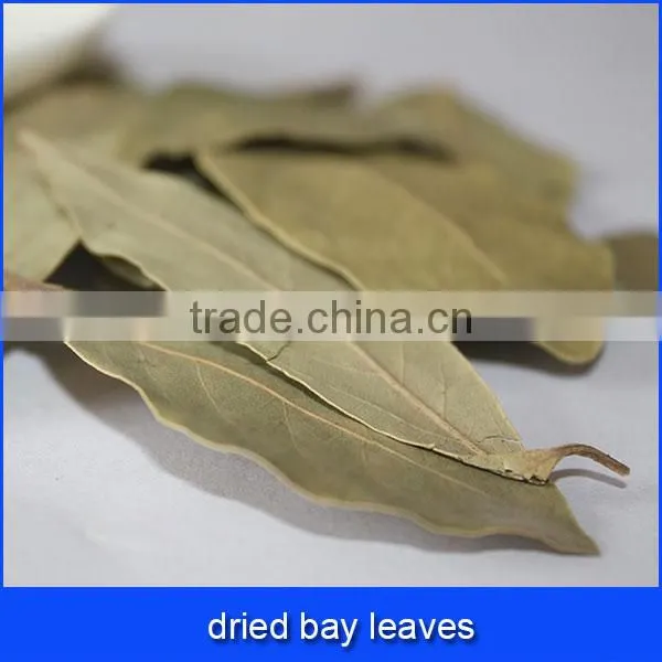 Dried Bay Leaves