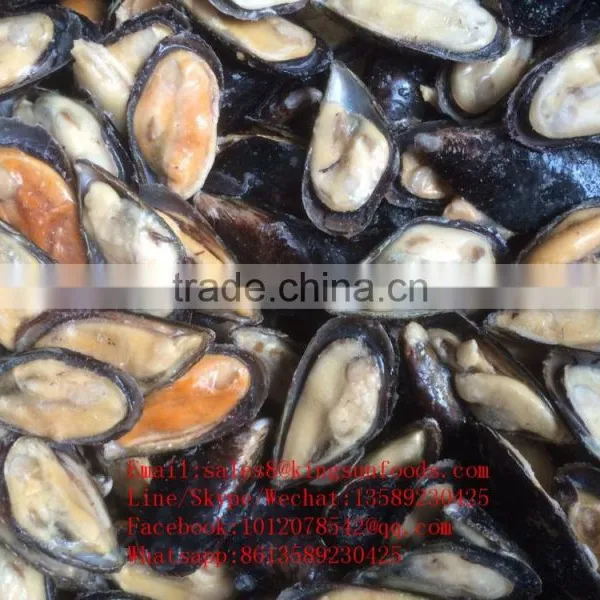 Wholesale High Quality Half Shell Mussel With Good Price photo-3
