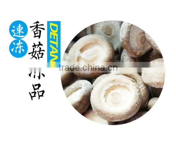 Frozen Shitake Mushroom photo-3