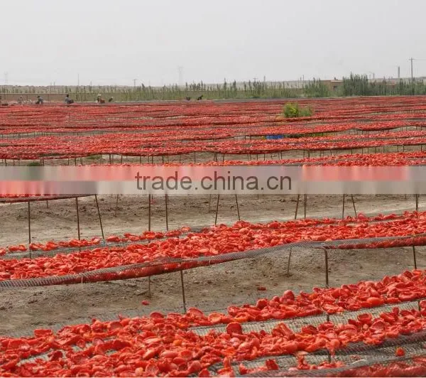 Natural Sun Dried Tomato With Best Price photo-2