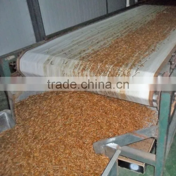 Pet Food Manufacturer High Quality Chicken Feed Mealworms, Mealworms High Protein Bird Food photo-5