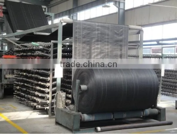 Agricultural pp Weed Mat Black Plastic Ground Cover for Sale photo-2
