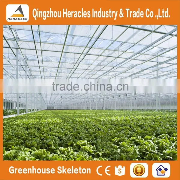 Heracles Trade Assurance Agricultural Tunnel Greenhouses photo-3