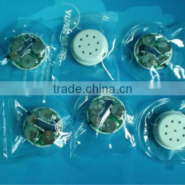 Water-proof Sound Module for Clothes,T-skirt,pants or Others