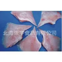 IQF Skate Fish Fillet
