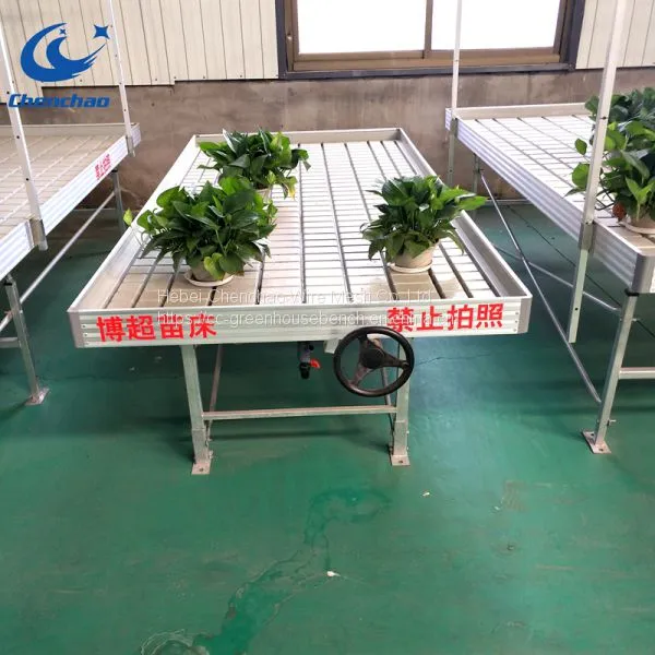 Ebb and Flow Table Rolling Bench, Ebb and Flow Bench Grow Plants photo-5