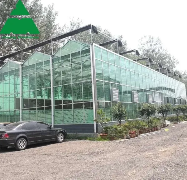 Venlo Type Glass Greenhouse for Education Program