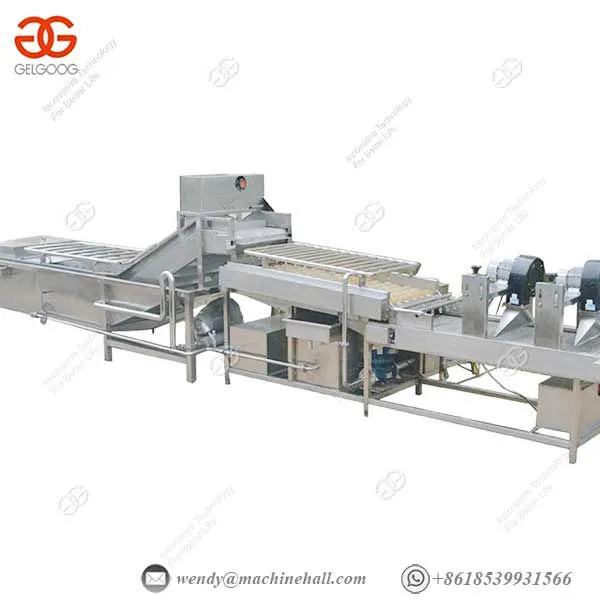 Vegetable And Fruit Bubble Cleaning Vegetable Wash Line