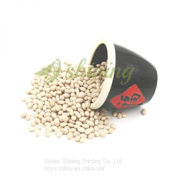 Navy Bean Small White Kidney Beans Haricot Beans photo-2
